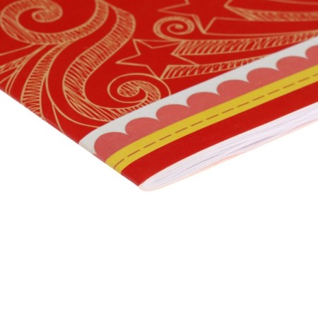Album for drawing A5, 24 sheets on the clip "Raccoon", cover coated cardboard, internal block offset 100 g/m²-2