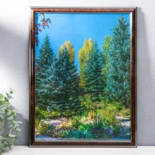 Photo frame 30x40 (282r) Dark walnut with gold (plastic screen)
