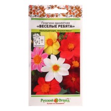 Georgin's flowers 