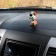 Dog on a car panel shocking his head, a mongrel