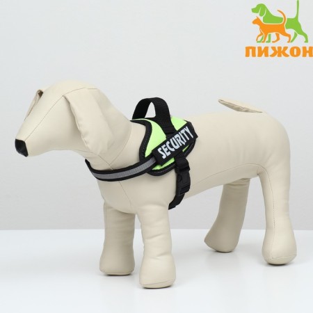 C9 harness is soft reflective, size xs, og 38-50 cm, weight 3-6 kg, green