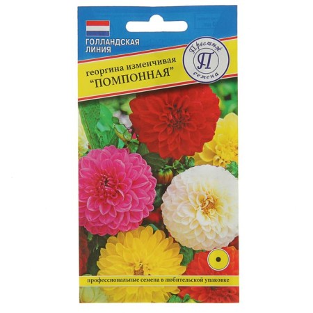 Georgin's flowers changeable "pompom", oh, 10 pcs