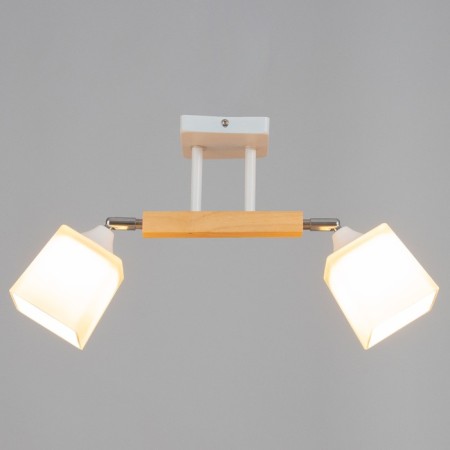 Closure Ceiling Tuscan 2HE27 40W white, tree-1