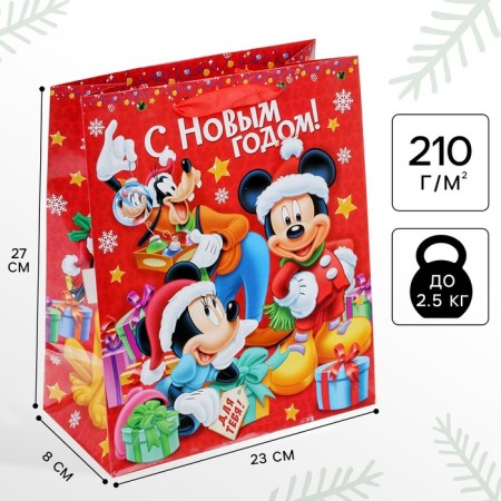 New Year. Gift package, 23x27x8 cm, packaging, Mickey Mouse