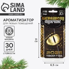 Fragrance for the New Year's car 
