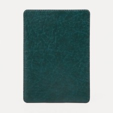 Cover for travel ticket, green color