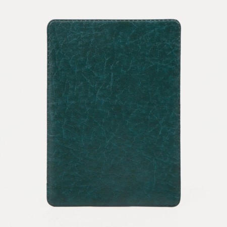 Cover for travel ticket, green color
