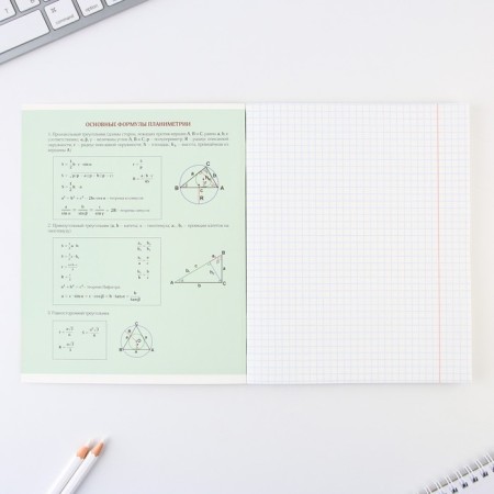 An objective note 48 sheets, A5, cute pets, with reference materials “September 1: Geometry”, cover coated cardboard 230 gr., Inner block in a cage 80 gr., Sweetie 96%, block No. 1.-2