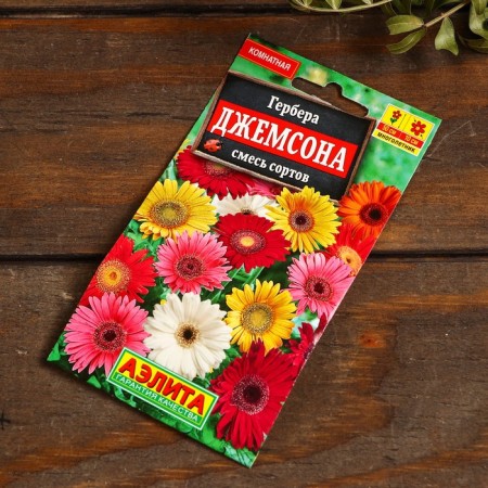 Set of indoor flowers "Hit Sales"-1