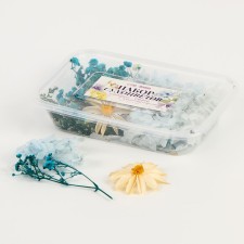 Set of dried flowers 