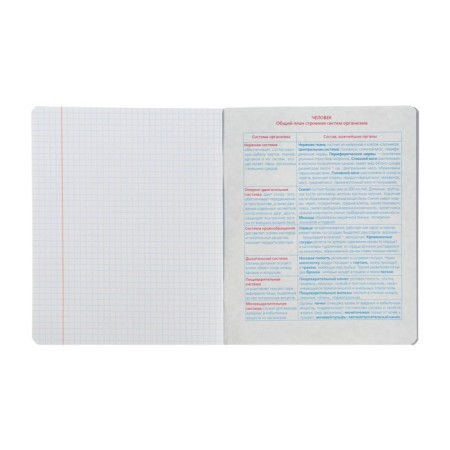 Subject notebook monocolor.element, 48 sheets in the cell "Biology", covered cardboard, lamination of software vag, selective varnish, offset block 70 g/m2-4