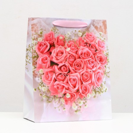Laminated package, 26 x 32 x 12 cm