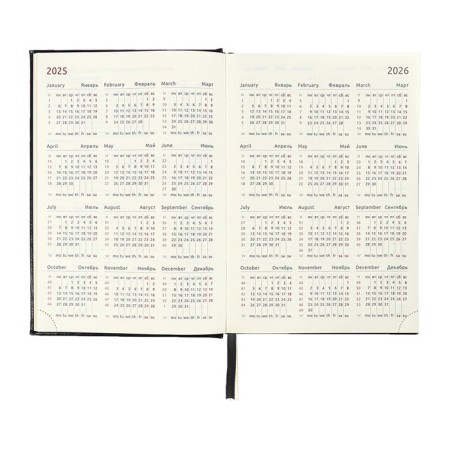 Dated diary 2024 A5 176 sheets, Devente.symbol, hard -skinned artificial leather, embossing foil, lies, cream block 70 g/m2, black-9