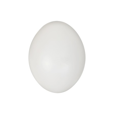 Artificial egg 5 x 4 x 4 cm white, Greengo-1