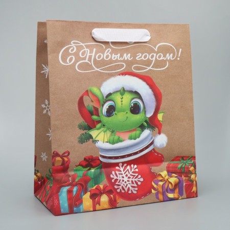 Package Crafts Vertical Dragon, Ml 23 x 27 x 11.5 cm, New Year-3