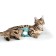 A toy for cats with cat mint "crocodile", 10 cm, green