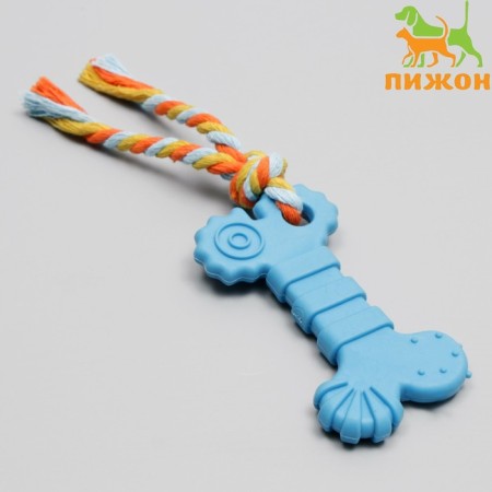 Chewing toy with a rope "bone with a tail", blue