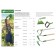 Looppel Pollar, blade 11.5 cm, without cuttings, "sprout"