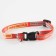 A collar for dogs and cats with Fasteks "Wild and Fluffy", 30x1 cm