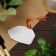 Garden tags for marking, 6.5 × 5 cm, set 20 pcs., Plastic, white, Greengo