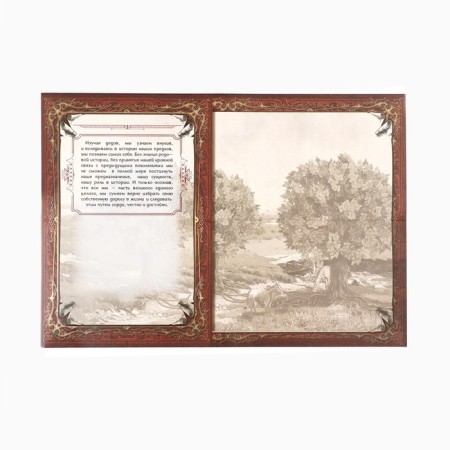 The genealogy book "Tree", 56 sheets, 16.5 x 24 cm-9