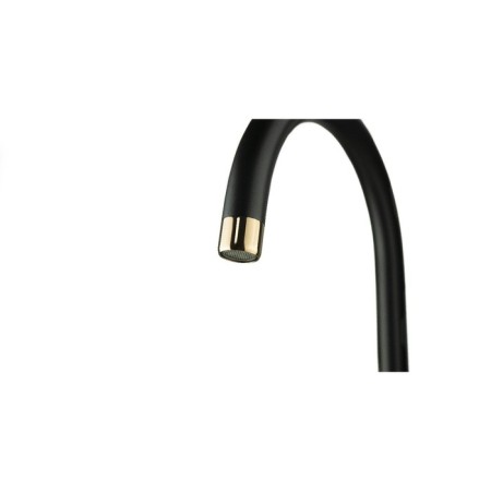 LEMARK Bronx LM3705BLR kitchen mixer, single -legged, excess length 204 mm, black/gold 90765-2
