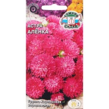 Flowers of Astra 