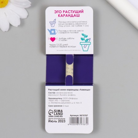 Growing gift pencils Mini "Lavender"-1