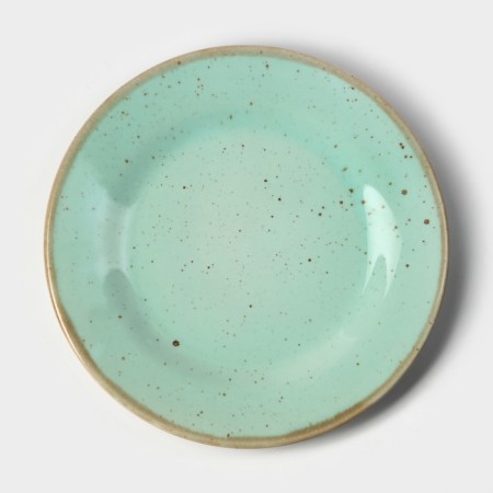 Porcelain plate nordic, d = 24 cm, h = 2 cm