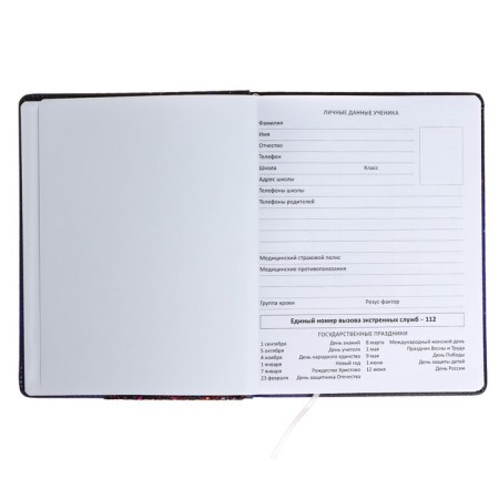 Universal diary for grade 1-11 Galaxy Girl, solid cover, artificial leather, foam rubber, lies, 80 g/m2-3