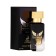 Male perfumery water Victorioso Nero (based on Paco Rabanne Invictus), 30 ml