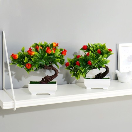 Bonsai in the pot "Fruit tree" 10x18 cm-2