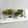 Bonsai in the pot "Fruit tree" 10x18 cm