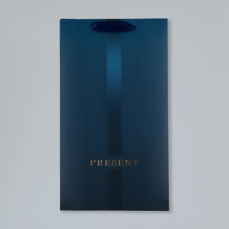 Gift package for two bottles, packaging, "Present", 35 x 20 x 9 cm-8