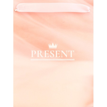 Gift horizontal package "Present", 23 x 18 x 10 cm-2