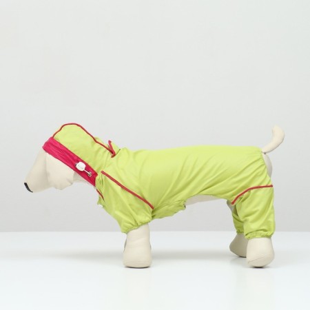 Combiason for dogs, demi -season with a bag, size M (DS 29, OG 37, Osh 27 cm), light green-4