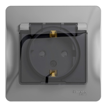 Schel000348 Glossa, SP, Grounding Roser