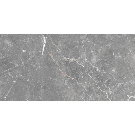 Founding tile Capella GT Gray, GT99VG 50x25-4