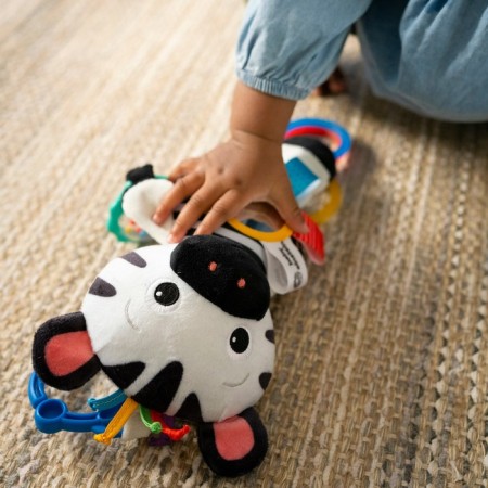 Suspended toy Baby Einstein "Zebra"-4