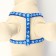 The set of stitched "paws", width 1 cm, leash 120 x 1 cm, og 23-35 cm, blue