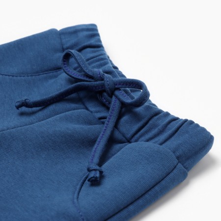 Costume: sweatshirt and pants crumb I am Blueberry p. 92-98, blue / milk-7