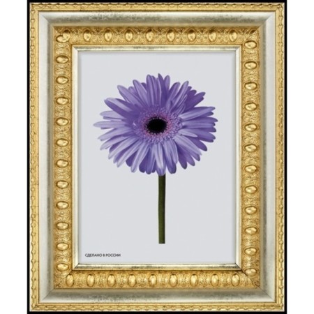 Frame for paintings (mirrors) 40 x 50 x 4.5 cm, plastic, calotta, gold-2