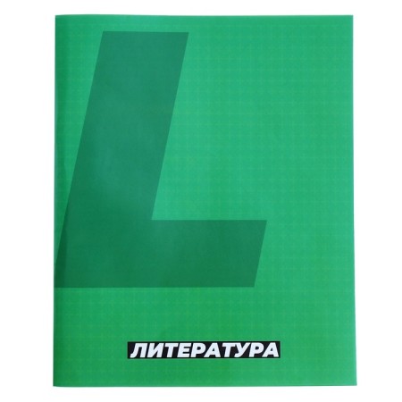 Subject Calligrata "Monotone", 36 sheets in the line of literature, with reference material, covered paper cover, block No. 2, whiteness 75% (gray sheets)-4
