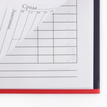 School Diary 1-4 class, in a solid cover, 48 liters "September 1: dinosaur"-8
