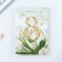 Diary in the soft cover A5, 80 liters, in the gift box "March 8, tulpans"