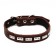Leather collar on synthetic winterizer, decorated, 55 x 2.5 cm, Osh 35-45 cm, brown