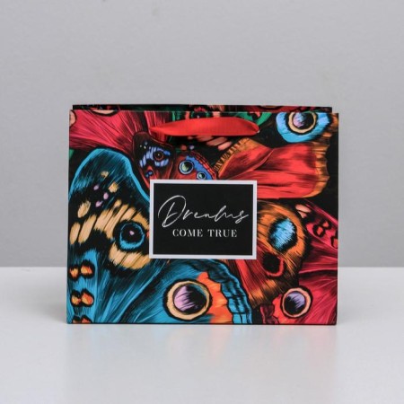 Gift Laminated Horizontal Package, packaging, Dreams Come True, MS 23 x 18 x 10 cm-1