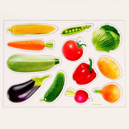 Magnetic game "Vegetables"-4