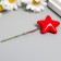 Decor for the creativity of "Star" set of 10 pcs 3.8x3.8 cm