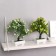 Bonsai in the pot "Charm" 10x22 cm, mix